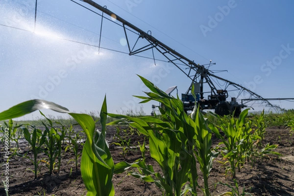 Fototapeta Autonomous machine is moving watering pivot along irrigation canal