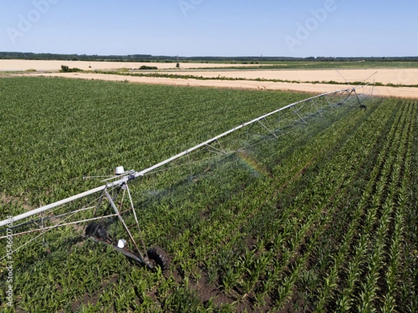 Fototapeta Aerial view of agricultural watering pivot irrigation system on a corn field
