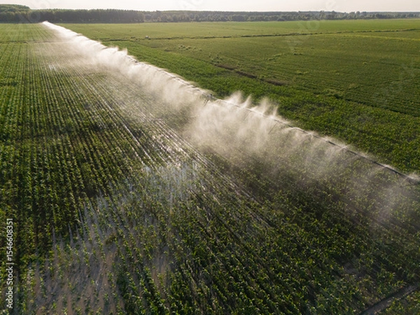 Fototapeta Aerial view of agricultural watering pivot irrigation system on a corn field at sunset