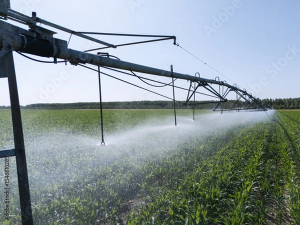 Fototapeta Agricultural pivot irrigation system on a corn field