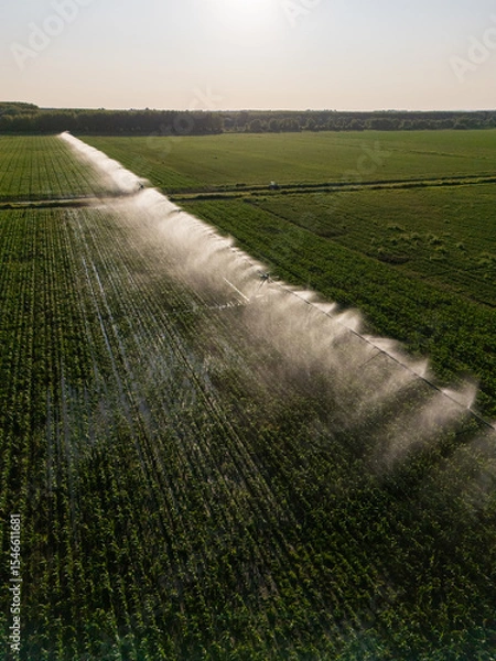 Fototapeta Aerial view of agricultural watering pivot irrigation system on a corn field at sunset