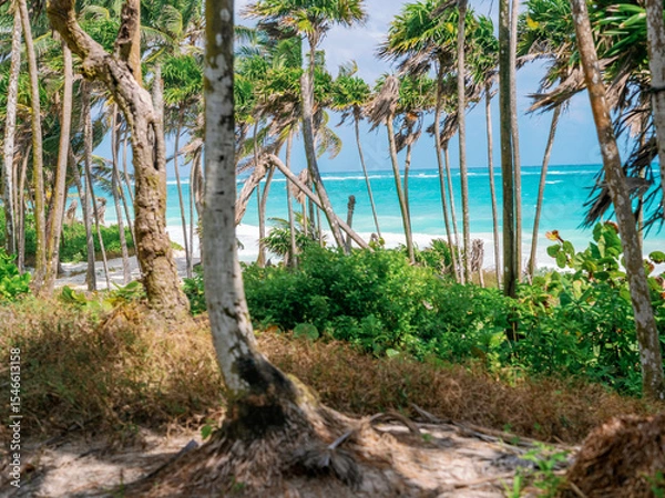 Fototapeta Tulum, Mexico
