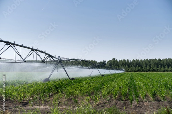Fototapeta Agricultural pivot irrigation system on a corn field