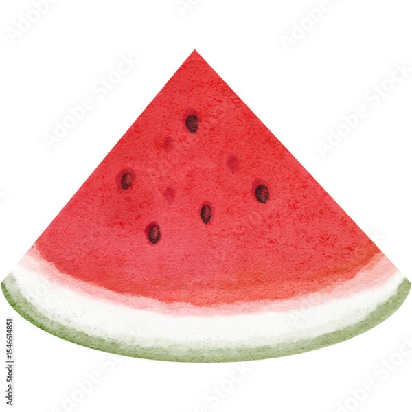 Obraz Watermelon illustration 