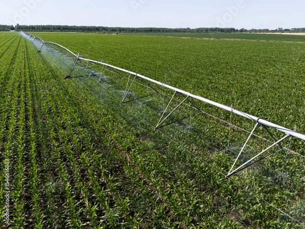Fototapeta Aerial view of agricultural watering pivot irrigation system on a corn field
