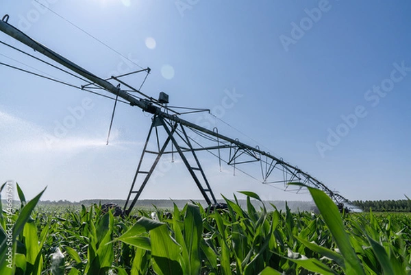 Fototapeta Agricultural pivot irrigation system on a corn field