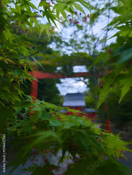 Obraz Views From Japan