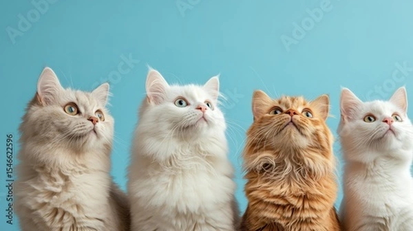 Fototapeta A delightful group of four cats with distinct fur patterns and colors observe something above, showcasing their curiosity and playful nature against a vibrant backdrop.