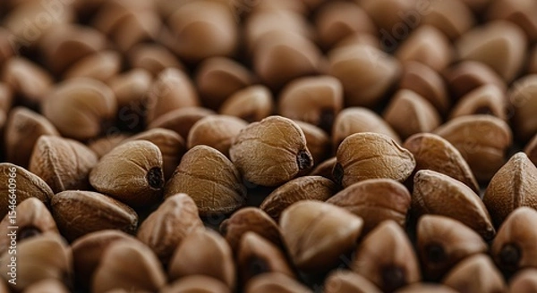 Obraz Macro Photography of Buckwheat Groats