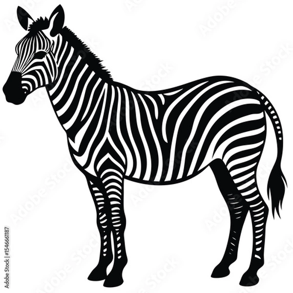 Fototapeta zebra vector illustration