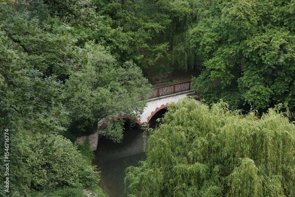 Fototapeta Bridge in forest with small river