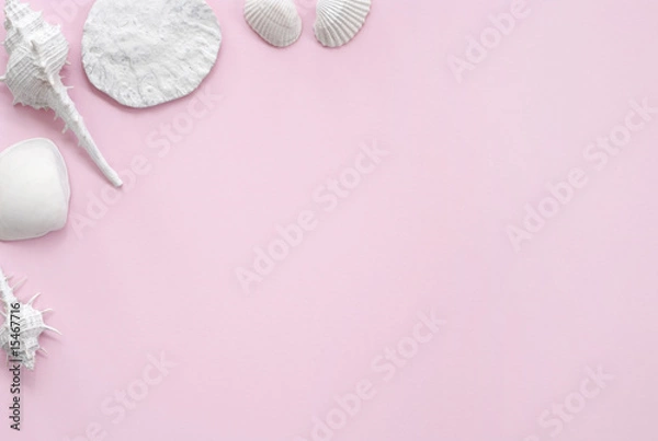 Fototapeta White and Pink Seashell Background