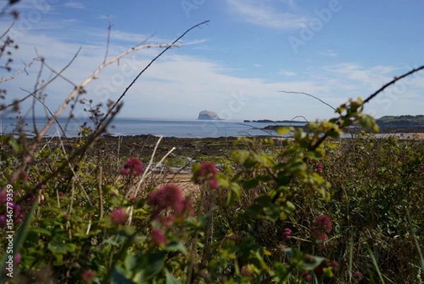 Obraz North Bernwick