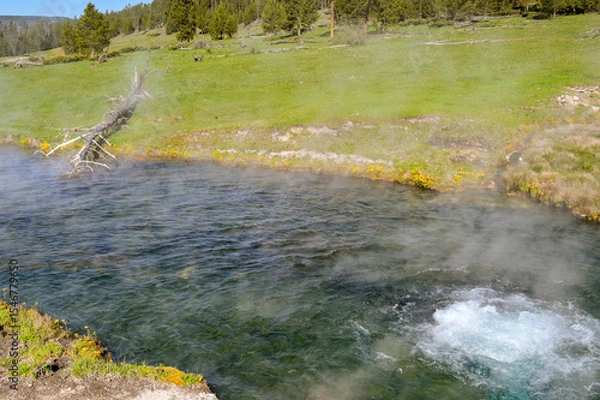 Obraz Spring of boiling water in the geothermal area of the Terrace Springs in Yellowstone National Park. No people.