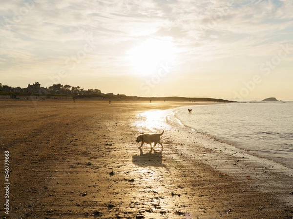 Obraz North Berwick sunset