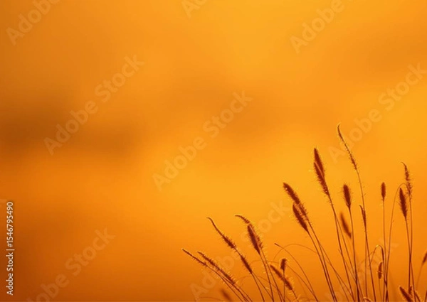Obraz wheat field at sunset