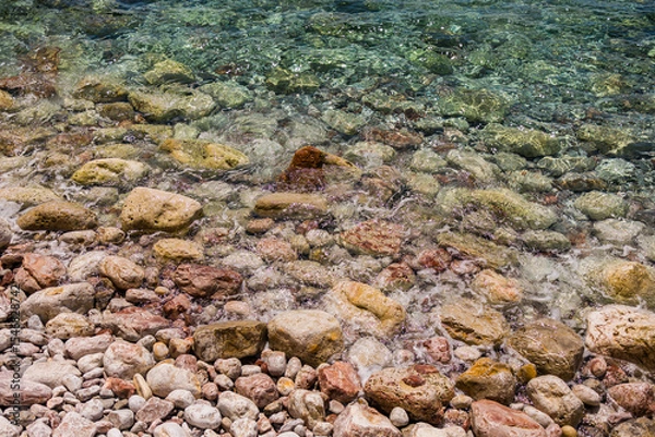 Fototapeta Clear coastal water with submerged algae and colorful rocks. Marine textures, biodiversity, and natural coastal ecosystem