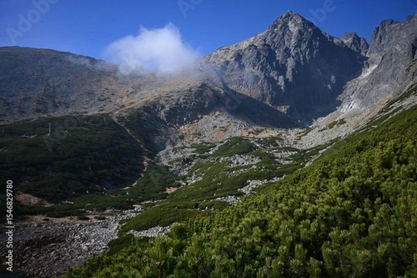 Obraz Tatry, góry w Polsce i na Słowacji, widok górski - treking