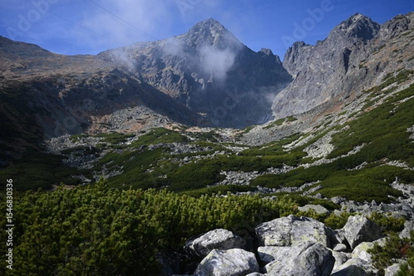 Obraz Tatry, góry w Polsce i na Słowacji, widok górski - treking