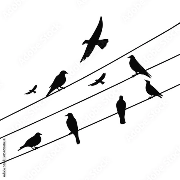 Fototapeta Silhouetted bird row on cable with natural poses vector