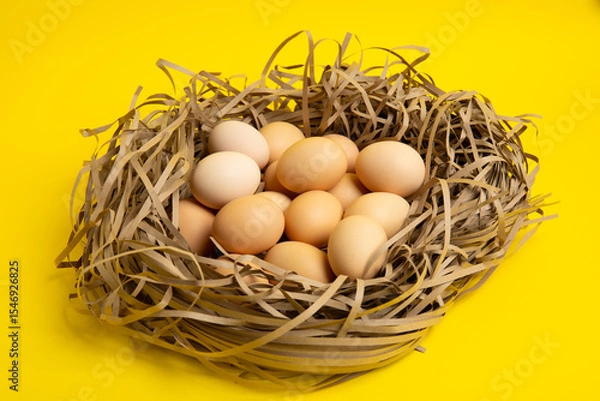 Obraz Brown Eggs in Nest – Front View, yellow background