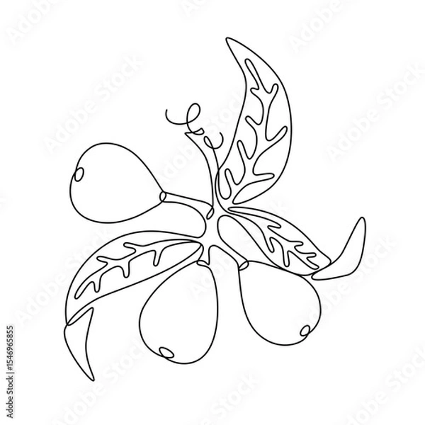 Fototapeta Loquat fruit with leaves drawn with continuous line in minimalism, abstract, medlar, tropical fruits, cup tree, one line, editable vector contour.