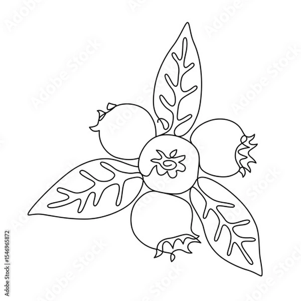Obraz Loquat fruit with leaves drawn with continuous line in minimalism, abstract, medlar, tropical fruits, cup tree, one line, editable vector contour.