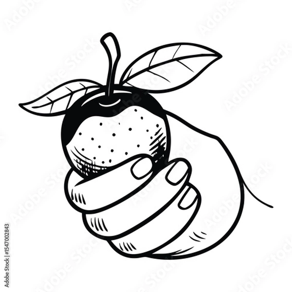 Fototapeta Black and white illustration featuring a bold, cartoon style hand gripping a mandarin orange.