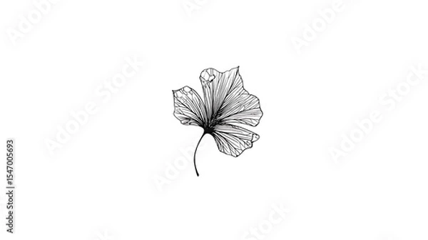 Obraz A flower is drawn in black and white