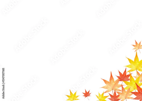 Fototapeta 紅葉　モミジの葉　水彩　秋　イラスト