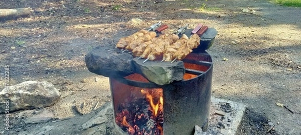 Obraz Grill  in the forest