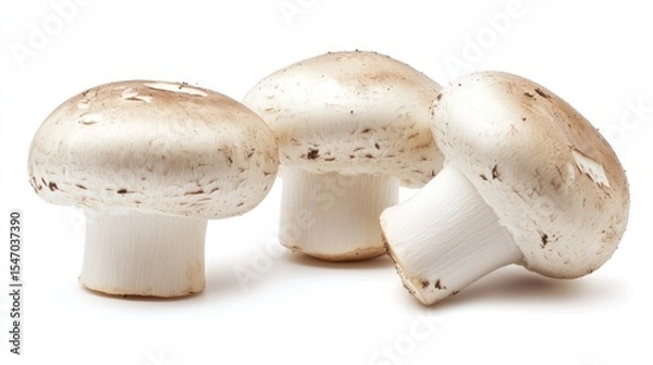 Obraz Three mushrooms on white background