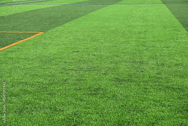 Fototapeta artificial green grass background for playground