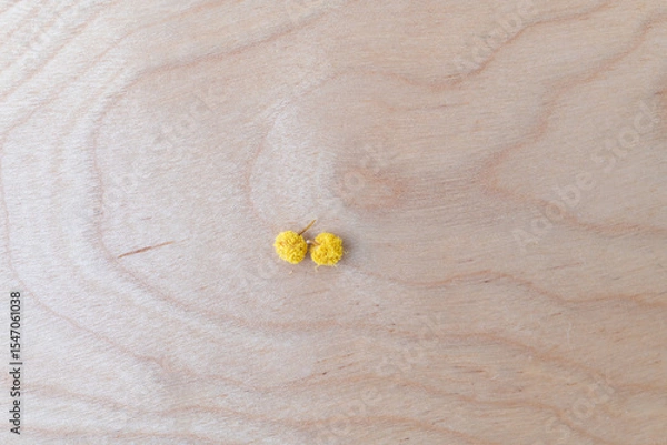 Obraz アカシア ミモザの実 かけら 剪定
