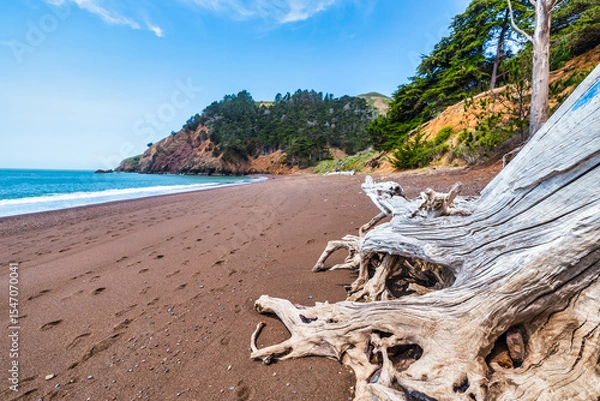 Fototapeta Kirby Cove Beach in California with red sand, blue ocean waves, and dramatic cliffs covered in pine trees. A hidden gem near San Francisco, perfect for nature, travel, and coastal exploration themes