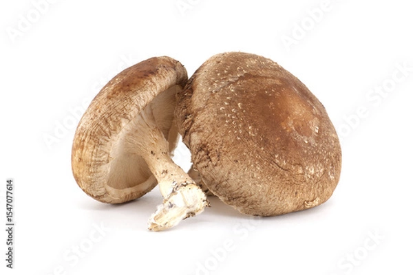 Obraz Fresh Shiitake Mushrooms Isolated on White Background Ready for Cooking