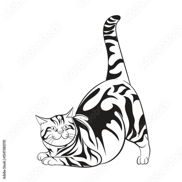 Fototapeta Detailed vector illustration of a black and white tabby cat stretching with raised tail. Ideal for print, coloring books, pet-themed designs, and minimalist animal artwork with an elegant pose.