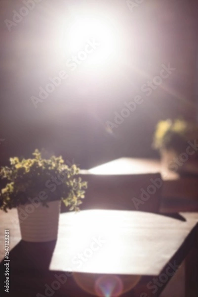 Obraz Potted plant on table against light