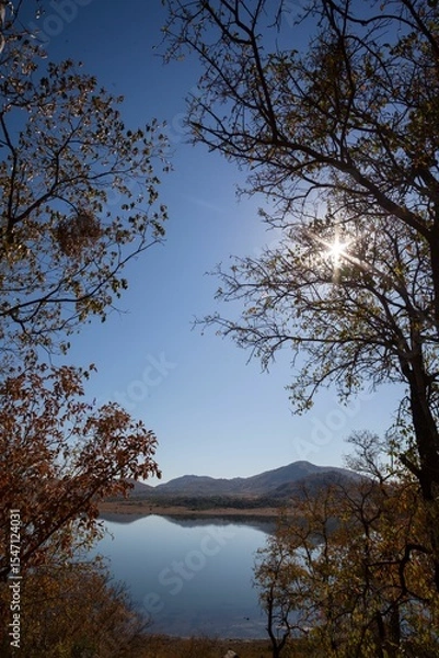 Fototapeta Flat design serene lake and distant hills are reflecting calm sky with sunburst amid russet leaves