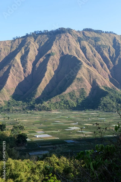 Fototapeta Majestic view of Pergasingan Hill glowing under soft morning light, seen from Selong Hill in Sembalun, Lombok—where dramatic ridgelines meet tranquil rural charm.