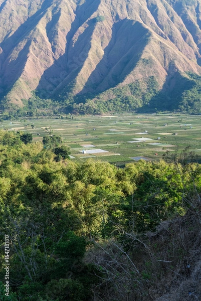 Fototapeta Majestic view of Pergasingan Hill glowing under soft morning light, seen from Selong Hill in Sembalun, Lombok—where dramatic ridgelines meet tranquil rural charm.