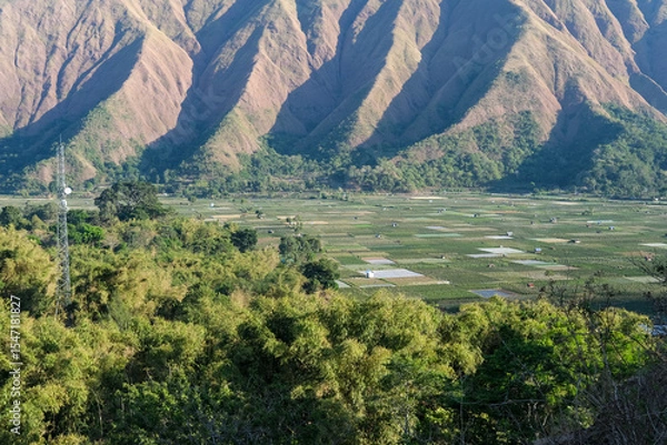 Fototapeta Majestic view of Pergasingan Hill glowing under soft morning light, seen from Selong Hill in Sembalun, Lombok—where dramatic ridgelines meet tranquil rural charm.