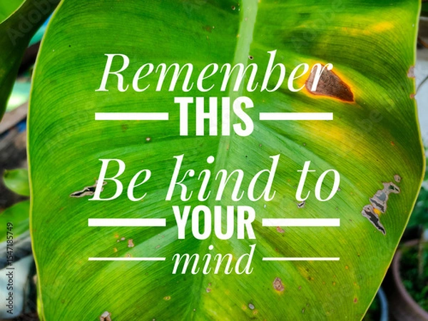 Fototapeta POSITIVE quote Remember this , Be kind to your mind on a green leaves background