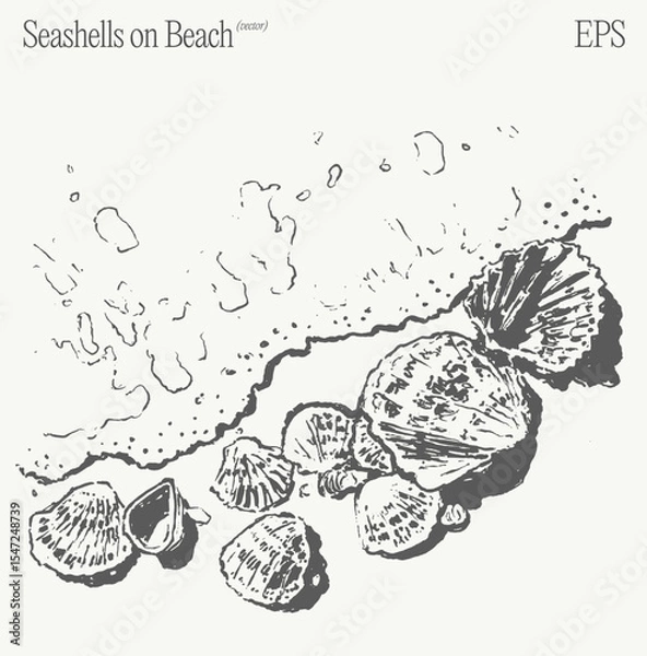 Obraz Seashells on Beach A Beautiful and Serene Coastal Illustration for All to Enjoy
