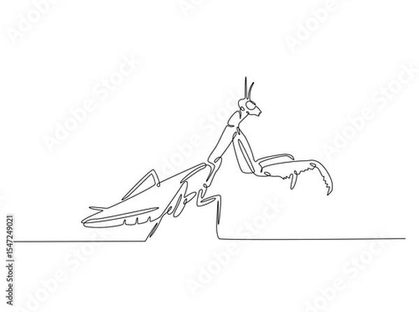 Fototapeta Wild Praying mantis in single outline illustration. Continuous line art drawing of mantis. Editable stroke.