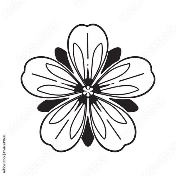 Fototapeta botanical graphic sketch drawing, trendy tiny tattoo design, floral elements vector illustration