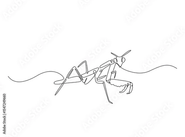 Fototapeta Wild Praying mantis in single outline illustration. Continuous line art drawing of mantis. Editable stroke.