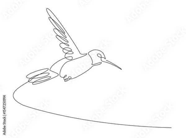 Fototapeta flying colibri or hummingbird in single outline illustration. Continuous line art drawing of hummingbird bird. Editable stroke.
