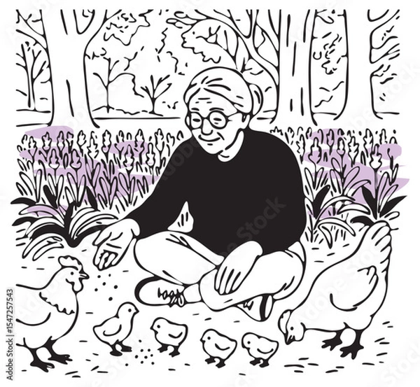 Fototapeta cute old lady sits and feeds chickens vector sketch. hens on a walk with grandma on the background of a forest and lavender field vector sketch