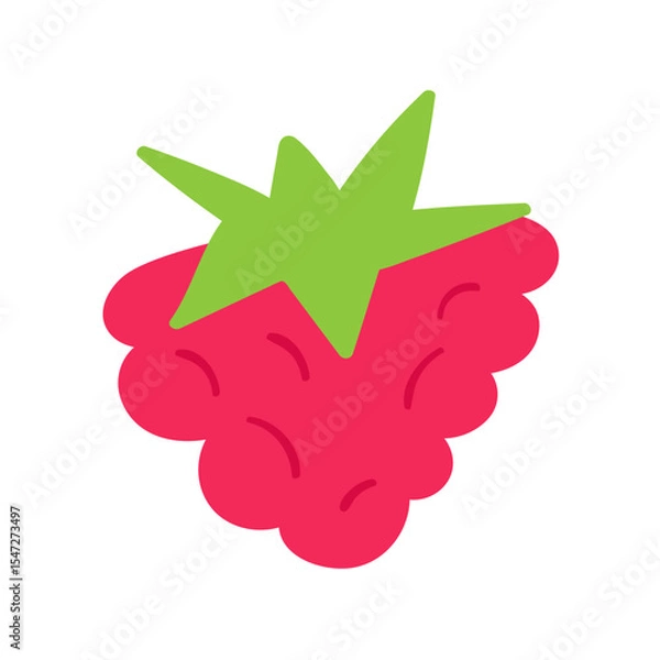 Fototapeta Raspberry. Flat vector design. Hand drawn food illustration on white background.